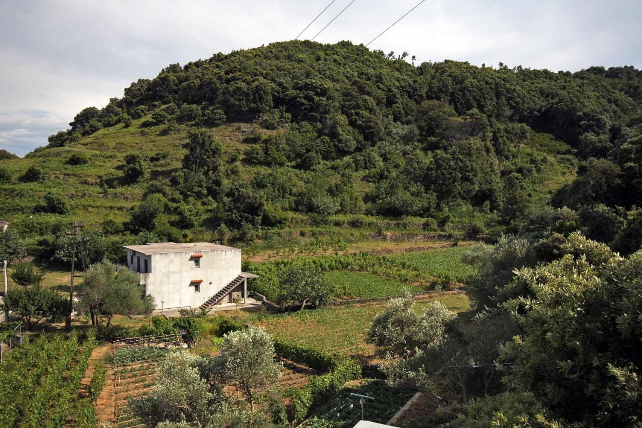 Apartments By The Sea Supetarska Draga - Donja, Rab - 2022 Exterior photo